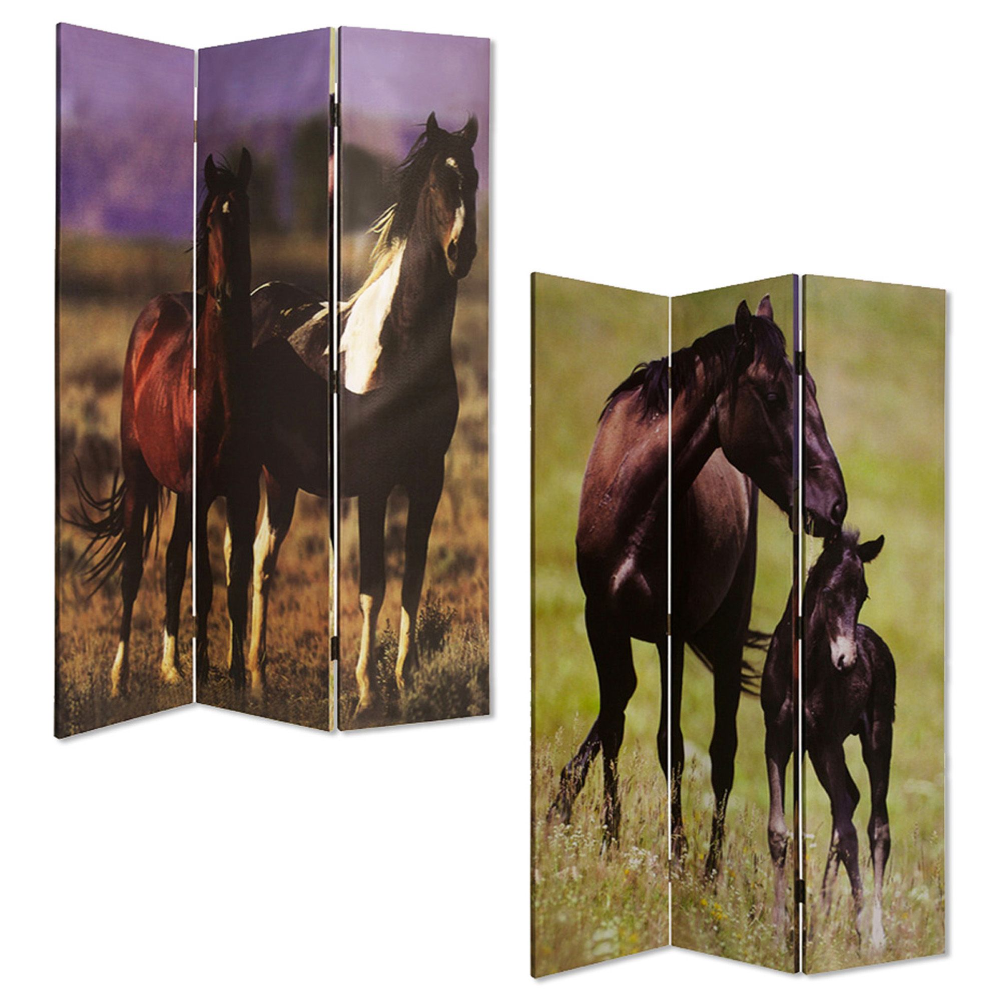 1" x 48" x 72" Multi Color Canvas Screen With Nurturing Mare - Image 3
