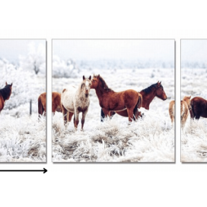 24" Multicolor Canvas 3 Horizontal Panels Horses Photo