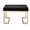 24" X 16" X 18" Black Fabric And Champagne Ottoman - Image 3
