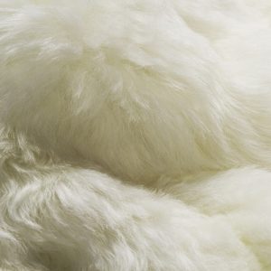 2' X 3' White Animal Print Area Rug
