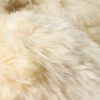 Gold Animal Print Area Rug - Image 2
