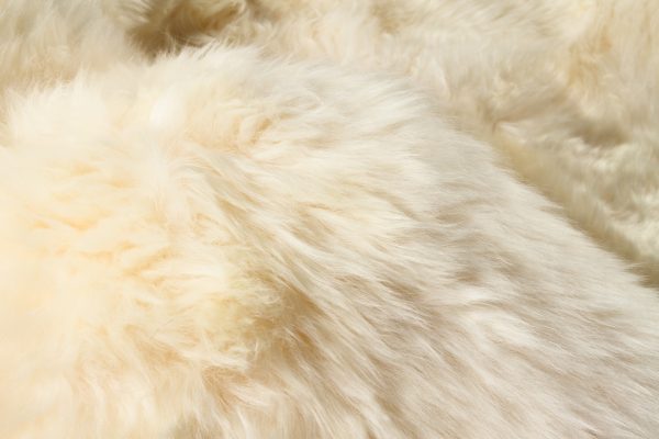 Gold Animal Print Area Rug - Image 2
