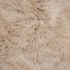Taupe Animal Print Area Rug - Image 2