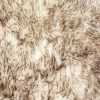 Gradient Chocolate Animal Print Area Rug - Image 2