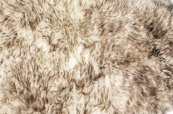 Gradient Chocolate Animal Print Area Rug - Image 2