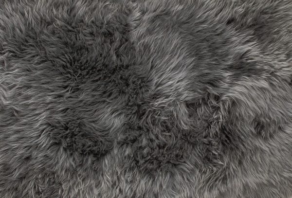 Grey Animal Print Area Rug - Image 2
