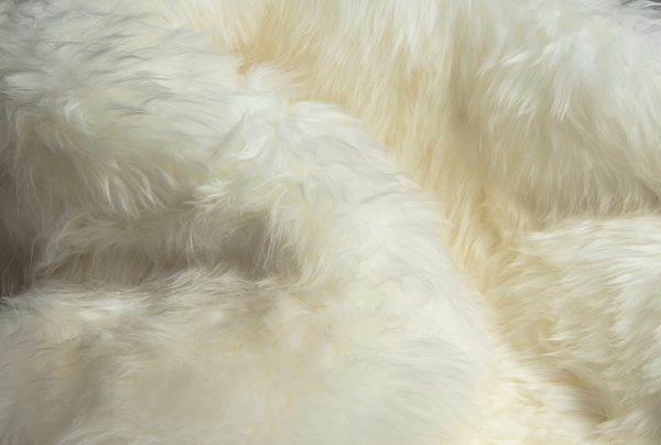 2' x 3'  White Natural New Zealand Sheepskin Wool Area Rug - Image 2