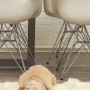 2' x 3'  White Natural New Zealand Sheepskin Wool Area Rug - Image 3