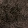 Chocolate Animal Print Area Rug - Image 2