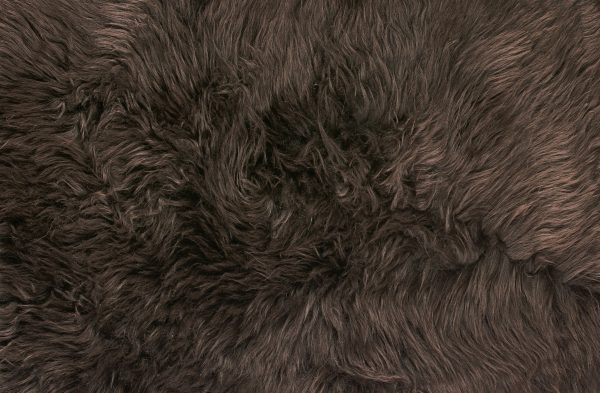 Chocolate Animal Print Area Rug - Image 2