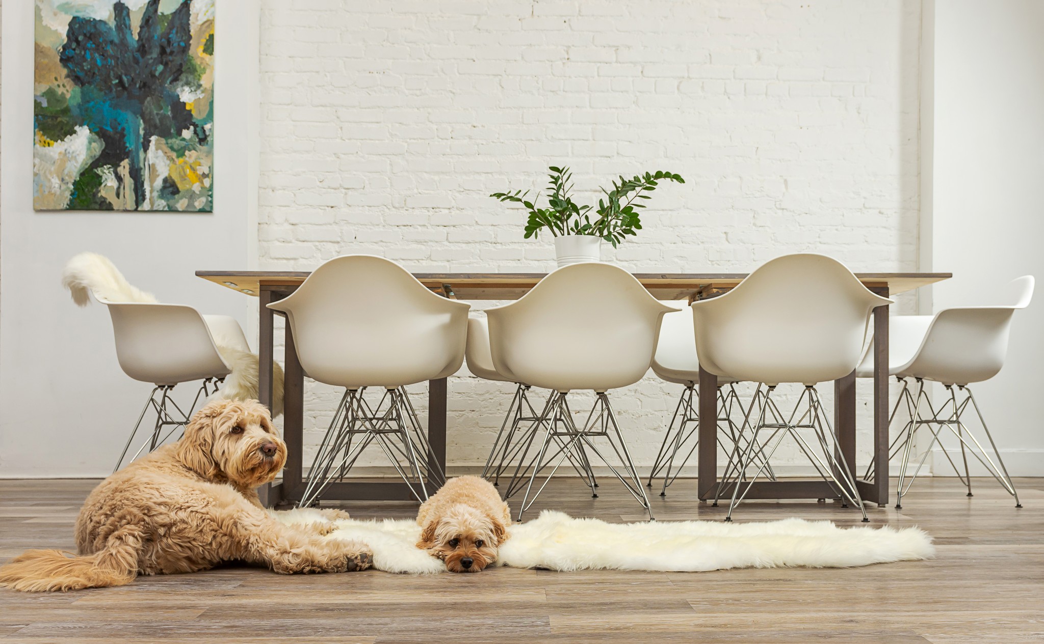 Natural Animal Print Area Rug - Image 3