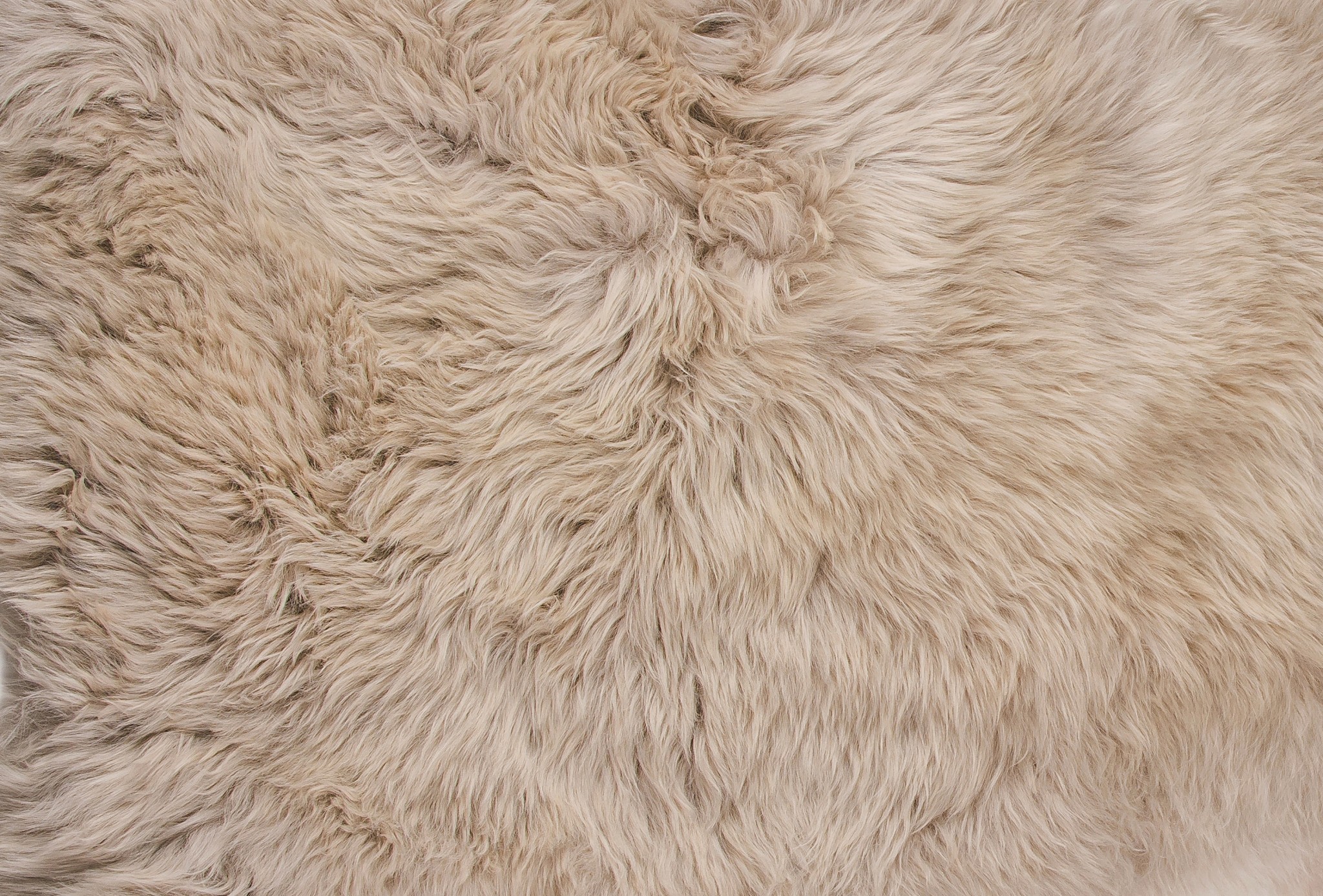 Taupe Animal Print Area Rug - Image 2