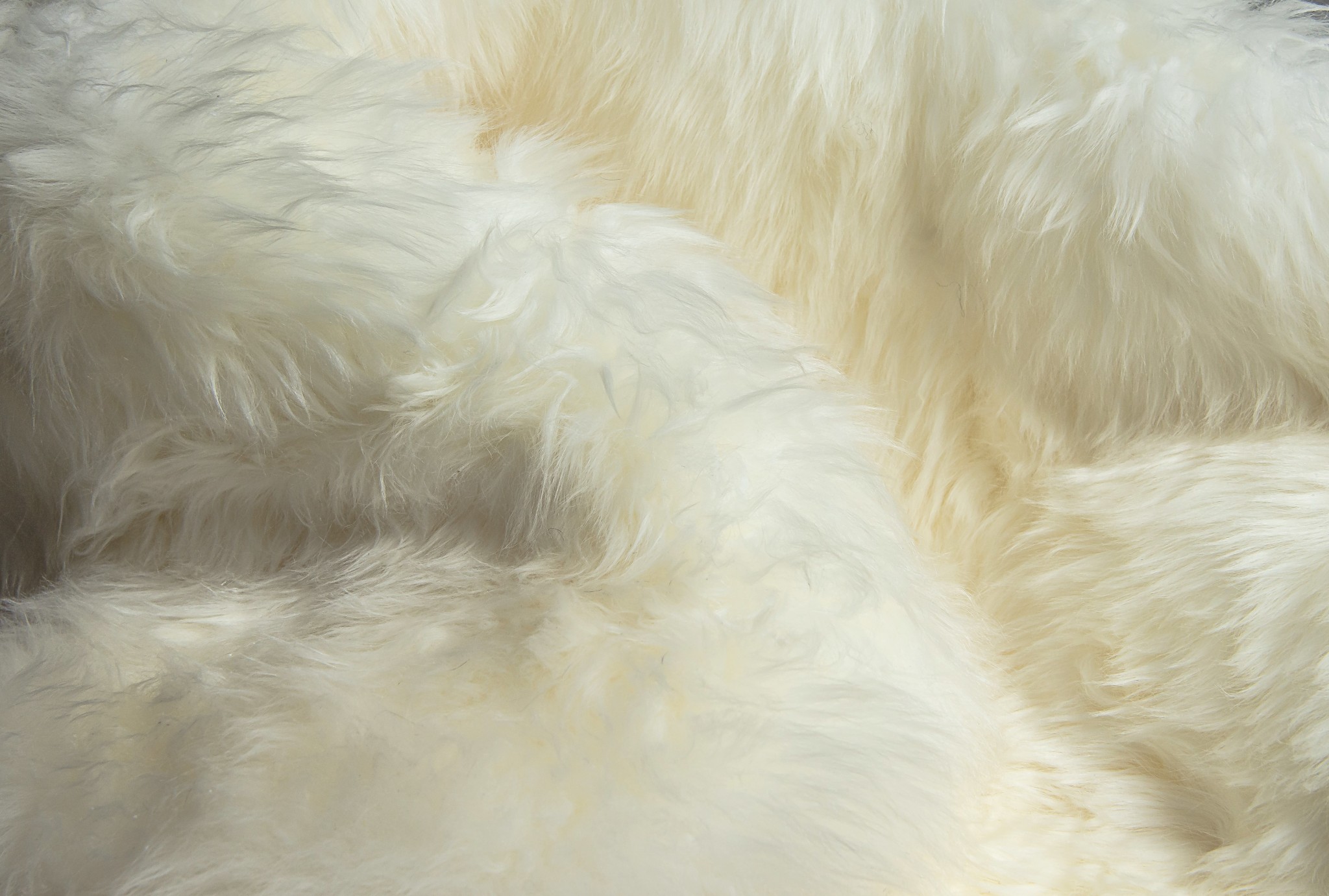72" x 72" Natural Sheepskin Wool Area Rug - Image 2