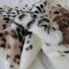 Leopard Spot Animal Print Area Rug - Image 2