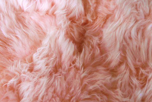 24" x 36" x 1.5" Pink Single Sheepskin - Area Rug - Image 2