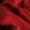 72" x 84" Firecracker Cowhide - Rug - Image 2