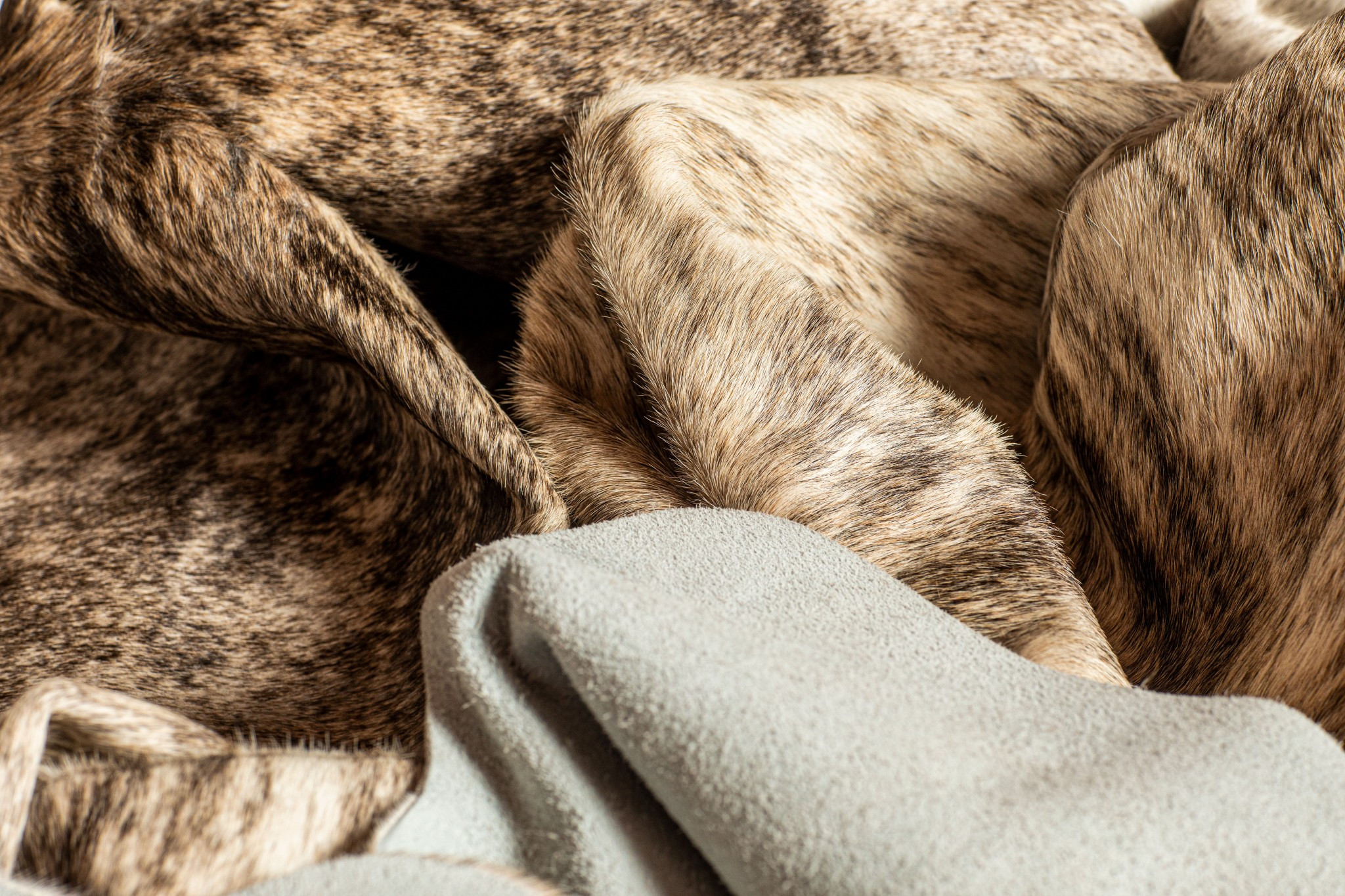 72" x 84" Zebu Cowhide - Rug - Image 2