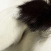 2' x 3' Natural Black and White Calfskin Area Rug - Image 2