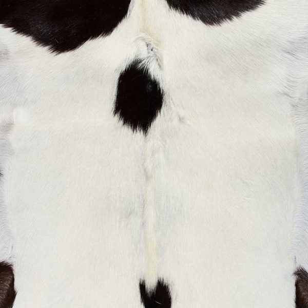 2' x 3' Natural Black and White Calfskin Area Rug - Image 3