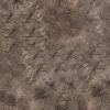 Taupe Animal Print Area Rug - Image 2