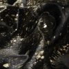 60" x 84" Chocolate And Gold Cowhide - Area Rug - Image 2