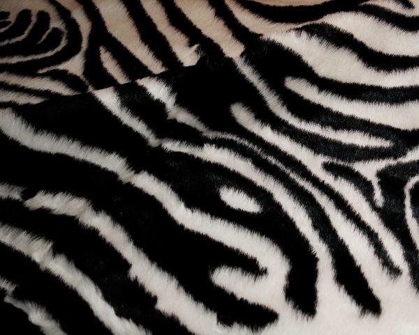 63" x 90" Zebra Black And White Print Area Rug - Image 2