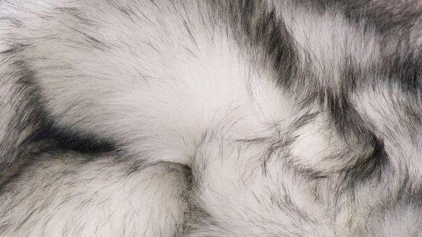 5' x 8' Ombre Gray Faux Sheepskin Rug - Image 2