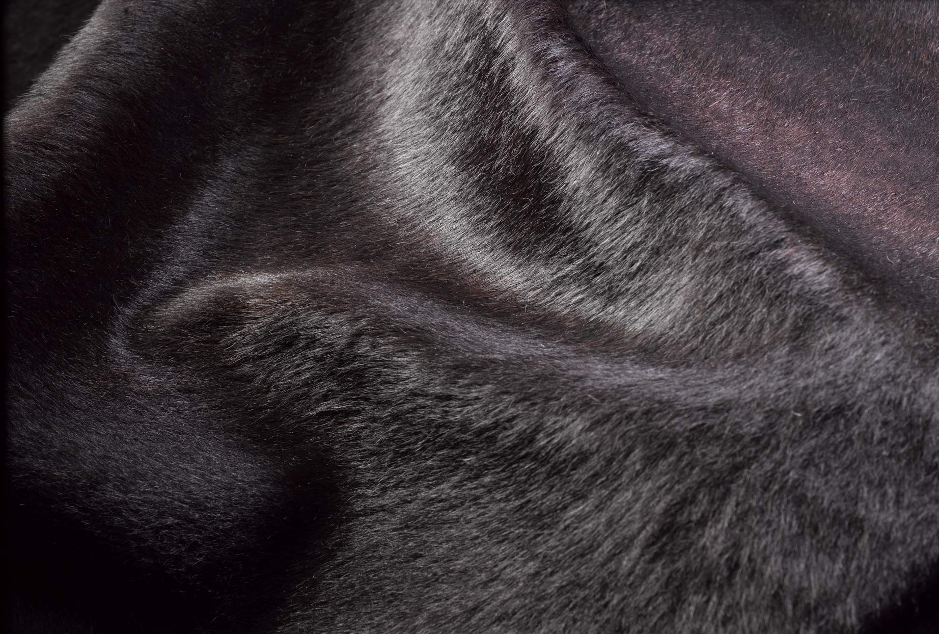 60" x 84" Chocolate Cowhide - Area Rug - Image 2