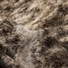 60" x 84" Exotic Zebu Cowhide - Area Rug - Image 2