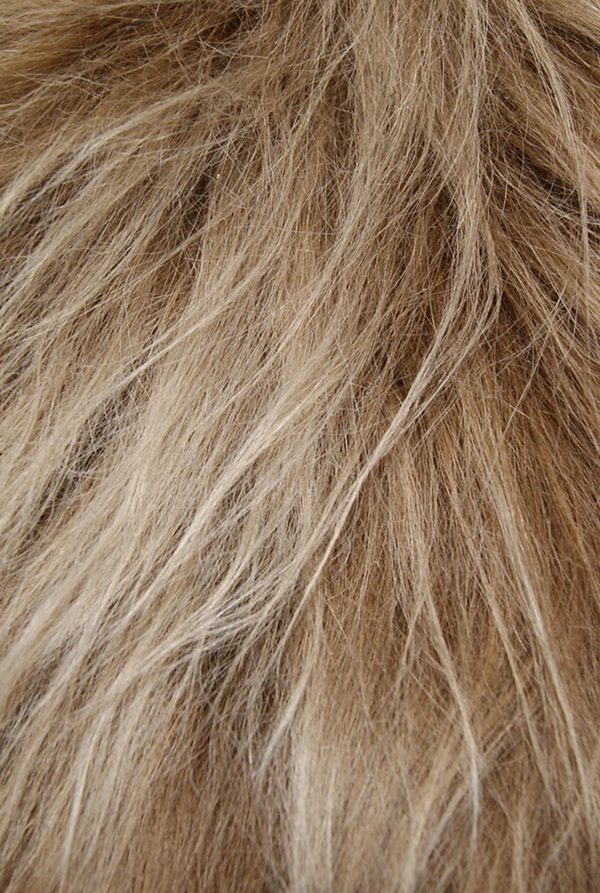 Rusty Brisa Animal Print Area Rug - Image 2