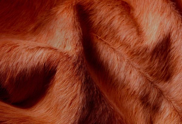 72" x 84" Brown Cowhide  Rug - Image 2