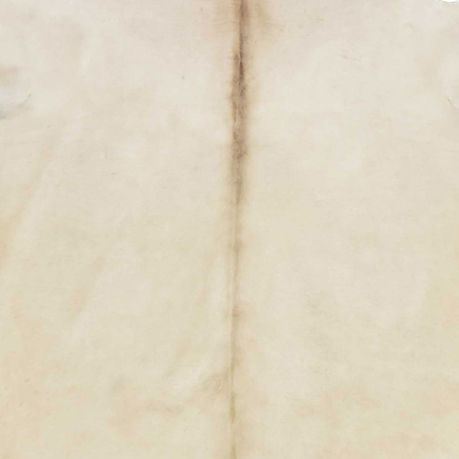 6.5 Ft Champagne Brindled Cowhide Rug - Image 3