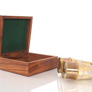 Elegant Brass and Mother of Pearl Binoculars in Wooden Storage Box