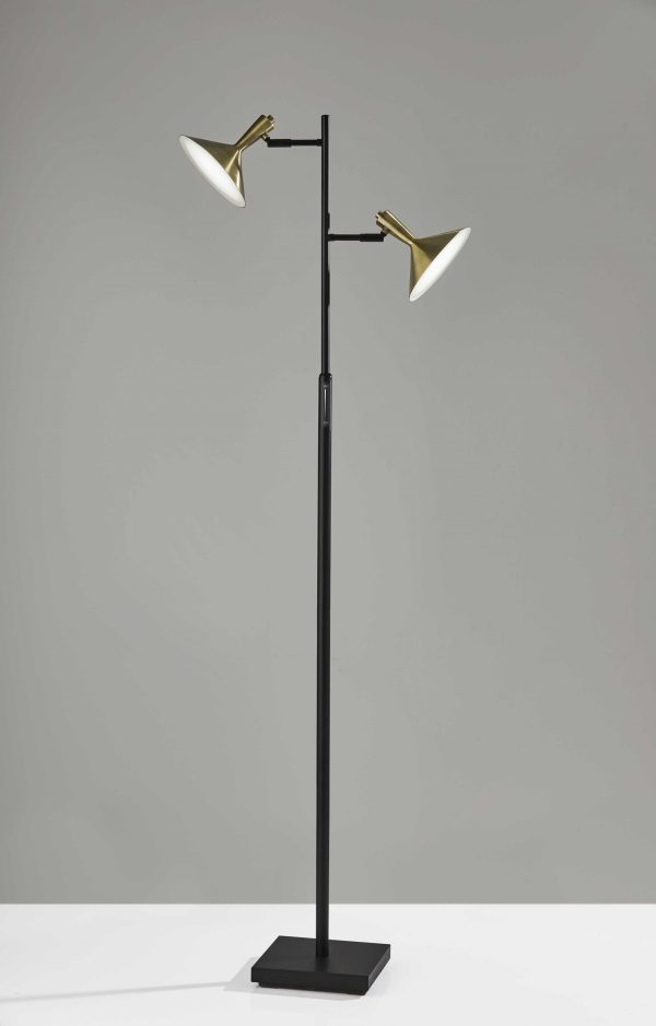 Double Brass Spotlight LED Floor Lamp in Black Metal
