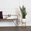 Faux Cement and Golden Metal Decorative Plant Stand - Image 2