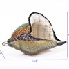 9 MultiColor Large Conch Shell Art Glass - Image 4