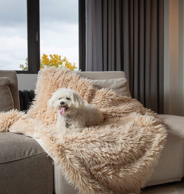 Chunky Flokati Faux Wool Off White Throw Blanket - Image 4