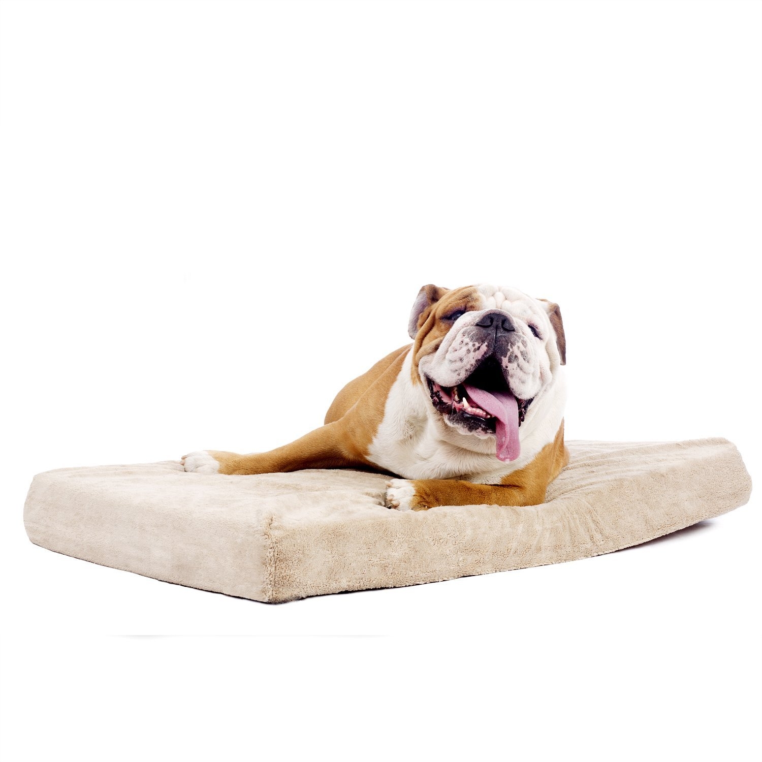 4-inch thick Memory Foam Orthopedic Medium size Dog Bed - Image 2