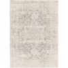 5' x 7' Distressed Oriental Area Rug in Light Grey / Beige