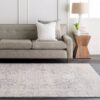 5' x 7' Distressed Oriental Area Rug in Light Grey / Beige - Image 2