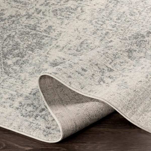 5' x 7' Distressed Oriental Area Rug in Light Grey / Beige - Image 3