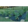 2.4' x 25' Weed Barrier Landscape Fabric - Last 5 Years or Longer - Image 3