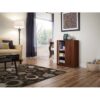 Modern Cherry 2 Door Adjustable Shelves Accent Cabinet Storage Chest - Image 3