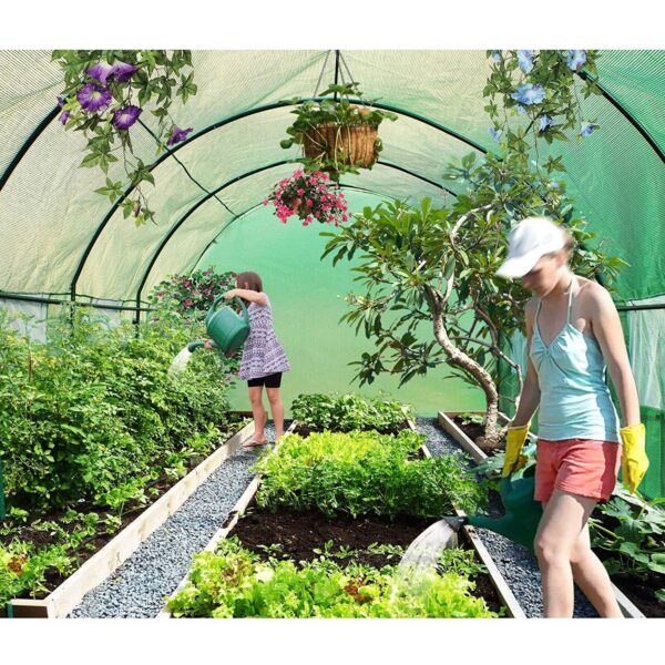 Outdoor Greenhouse 10 x 20 x 7 Ft with Heavy Duty Steel Frame and Green PE Cover - Image 2