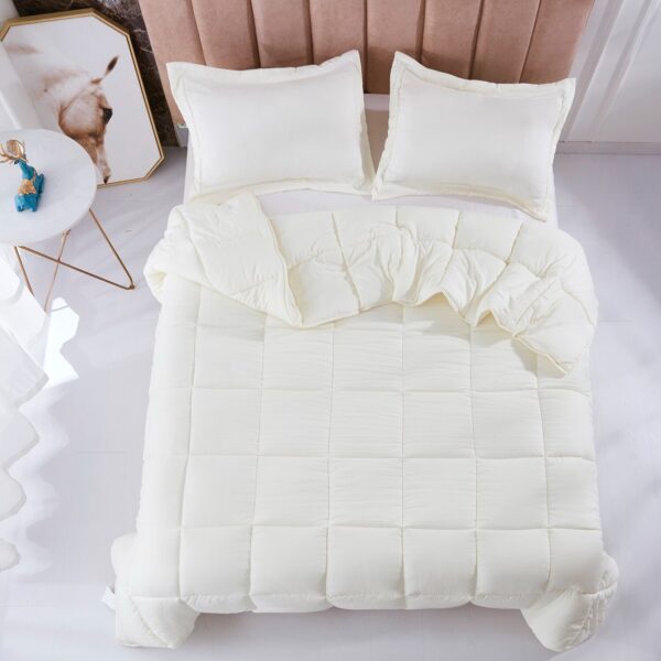 Queen Size Off White 3 Piece Microfiber Reversible Comforter Set - Image 4