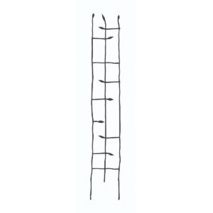 6-Ft High Narrow Garden Trellis in Metal Sprouting Twig Leaf