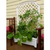 Indoor/Outdoor White Plastic Self Watering Planter with Trellis on Wheels - Image 2