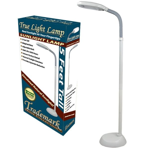 5-Foot Contemporary Floor Lamp with Energy Efficient Light Bulb - Image 4