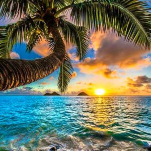 Frameless Digital Painting Decoration