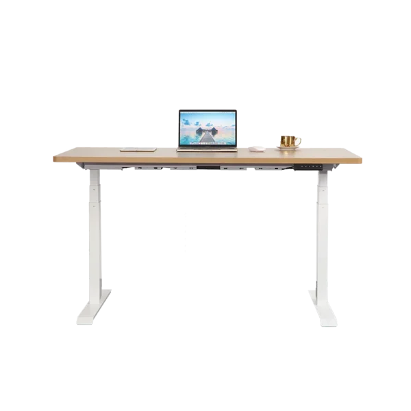 Eisdir DM3 Home Office Furniture Ergonomic Electric Height Adjustable Desk Dual Motors Healthy Sit Stand Desk for Office - Image 4